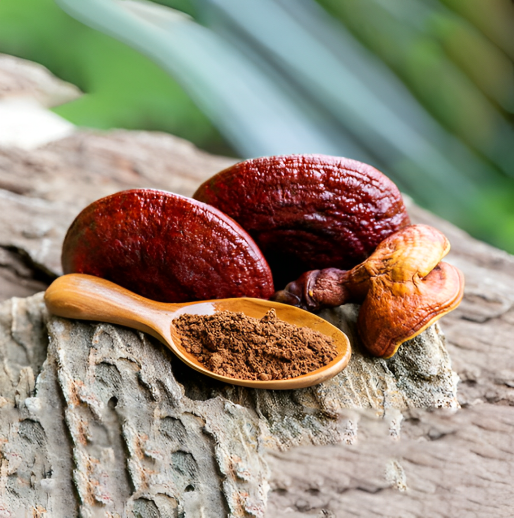 Compléments alimentaires DXN Reishi Gano (RG) et Ganocelium (GL) à base de Ganoderma Lucidum pour une santé optimale.