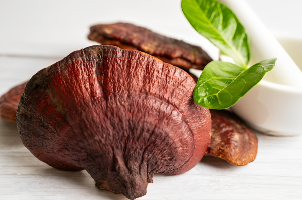 DXN Reishi Gano (RG) et Ganocelium (GL), compléments alimentaires pour renforcer l'immunité, la vitalité et l'équilibre émotionnel.